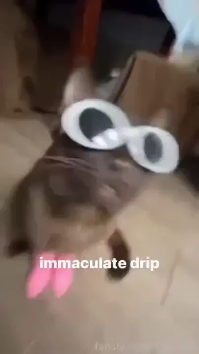 Immaculate dripp i had to do this xd fyp vr vrchat vtuber lewdtuber 3d part 1 