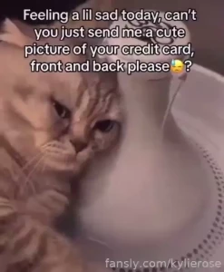 Camera roll stuffs extra cute video of duck with moist casually part 7