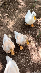 As of a few days ago dray can finally be around the girls without part 1