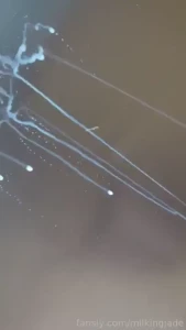 Out of stainless steel cleaning solution i have the solution fyp