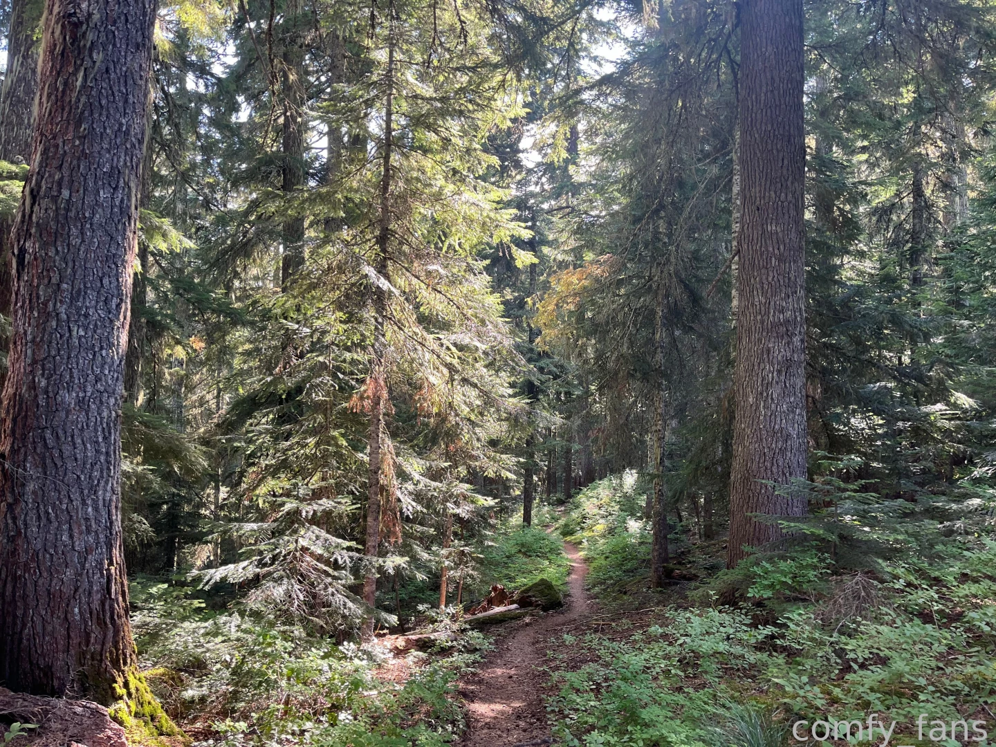 522555637691854848 part 33 