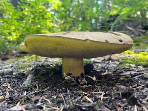 Stirring you up at stirrup lake part 1