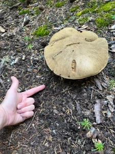 Stirring you up at stirrup lake