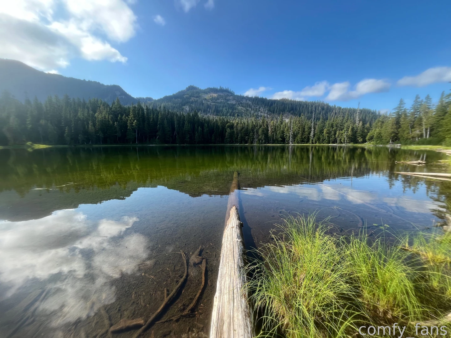 Stirring you up at stirrup lake part 2 