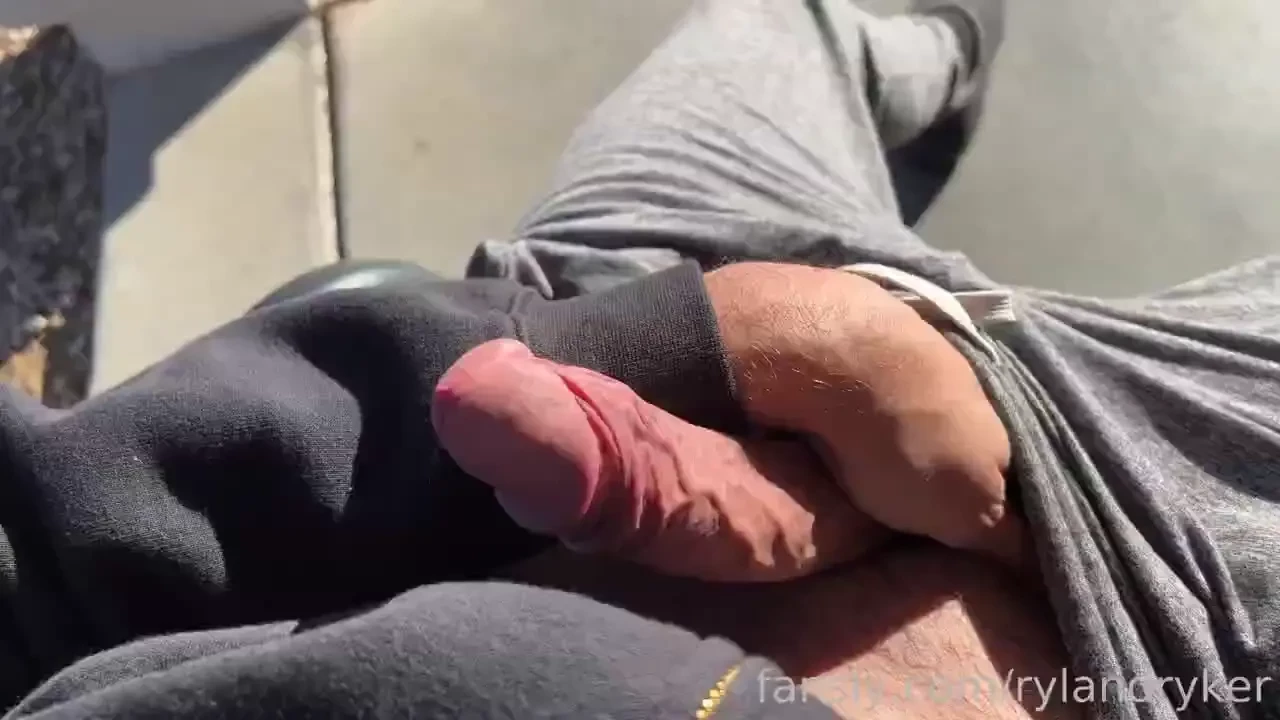 Hanging out on this cool morning getting some sun bet my neighbors 