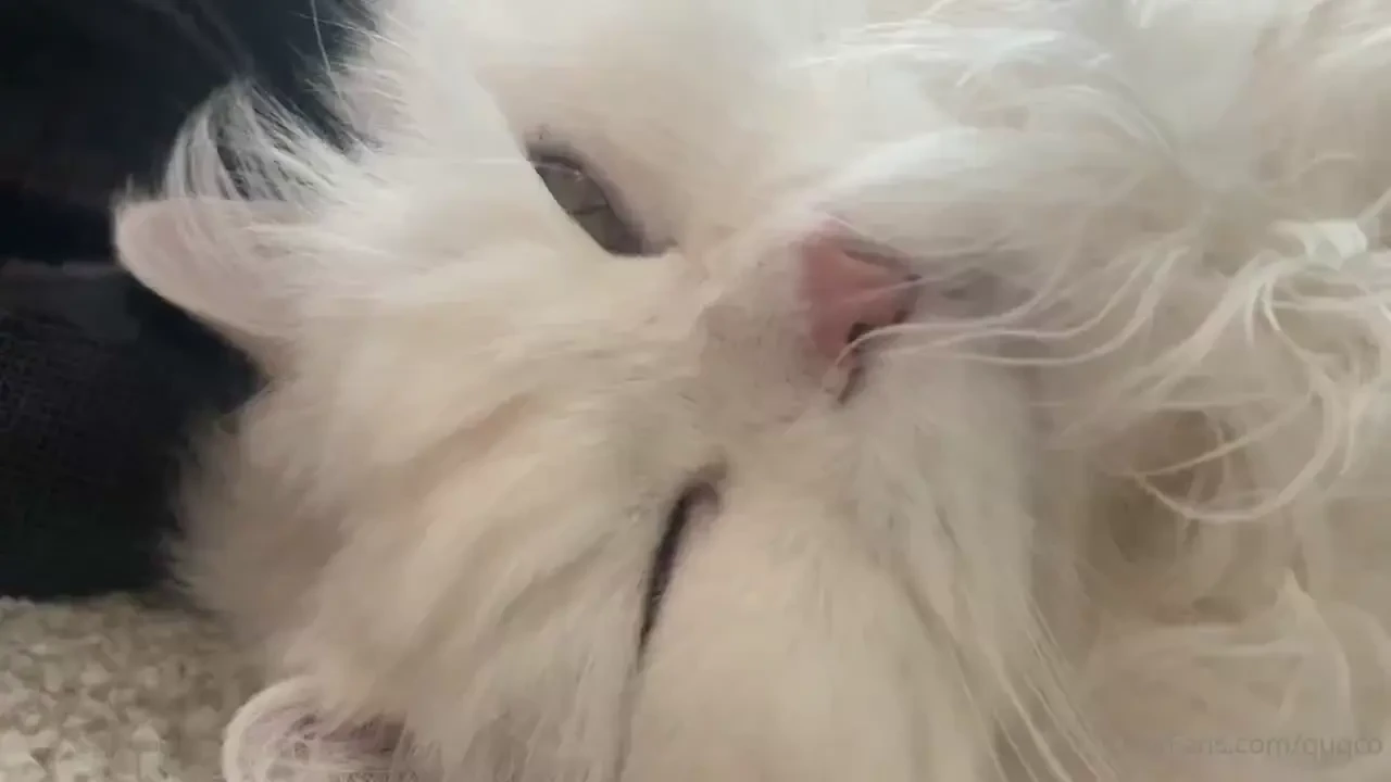 Snoring mochi part 1 