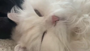 Snoring mochi part 1
