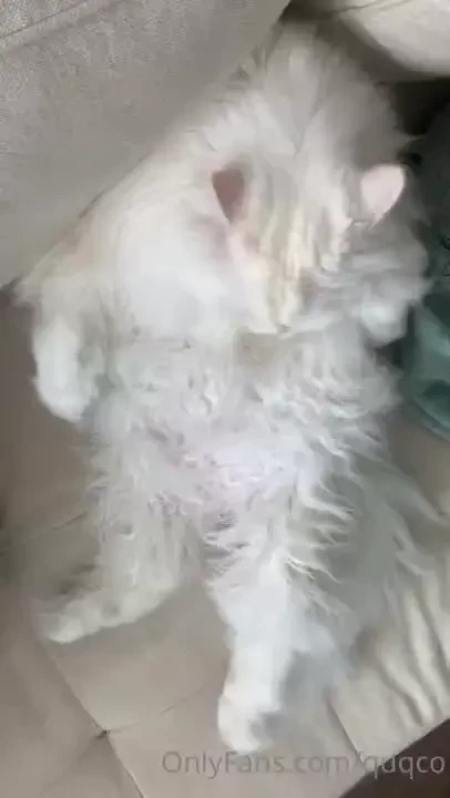 Lazy cleaning 