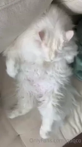 Lazy cleaning