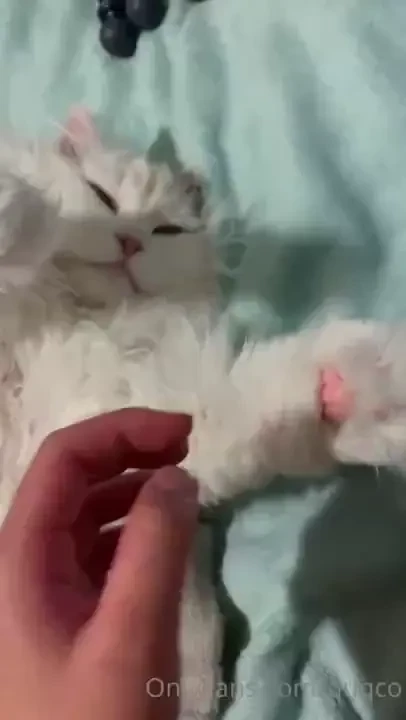 Very important video 