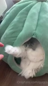 Mochi is a super cactus bug lately