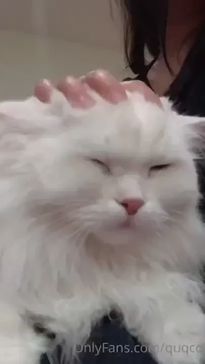Some purring to brighten your day 