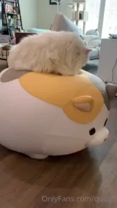 I adore final fantasy 14 so when this fat cat mount was available to