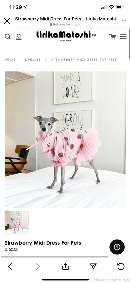 I m so tempted to buy this for mochi would you be interested i have 