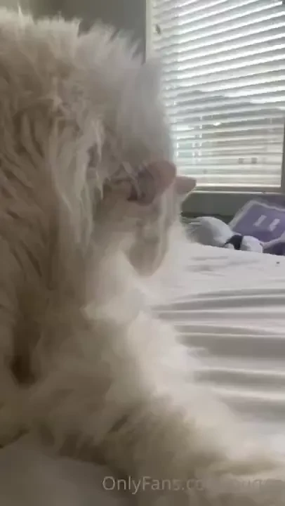 Good morning time to clean up 