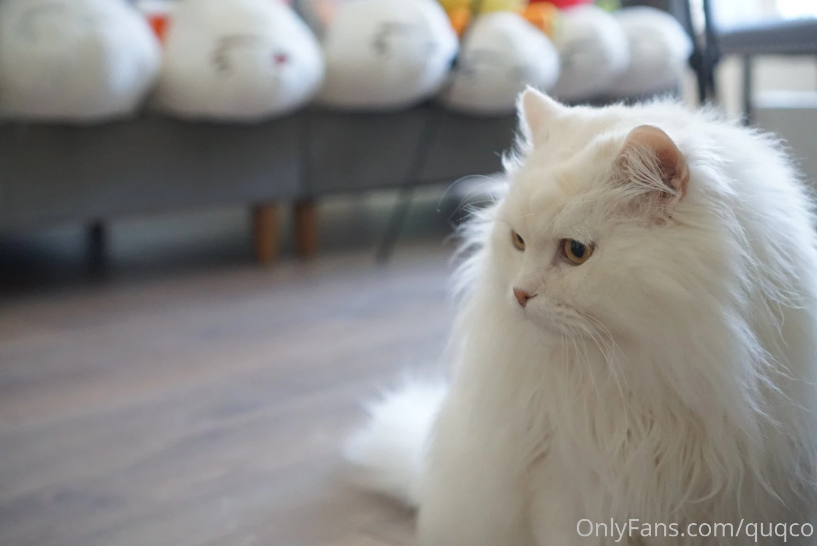 A lot of very cute mochi chilling about part 1 