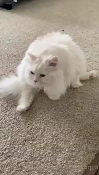 Doing some stretches 