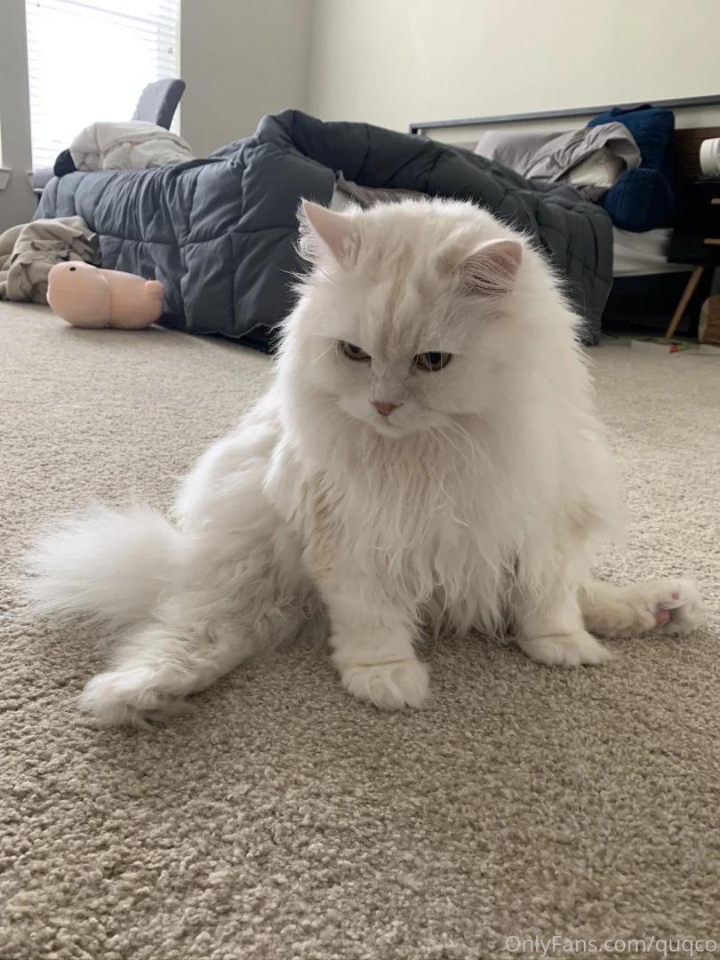 Doing some stretches part 3 