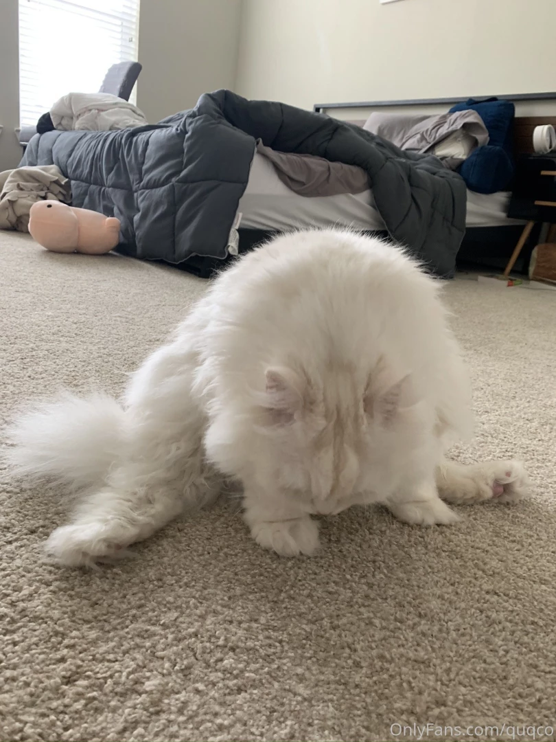Doing some stretches part 2 