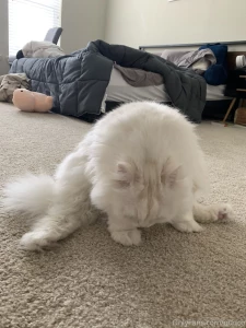 Doing some stretches part 2