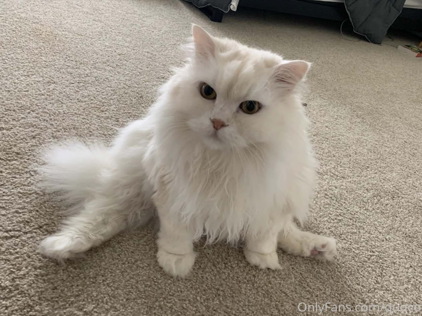 Doing some stretches part 1 