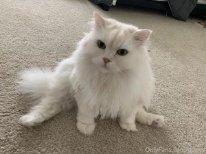 Doing some stretches part 1
