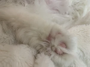 There s just a lot floof part 2