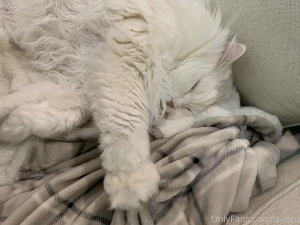There s just a lot floof part 1