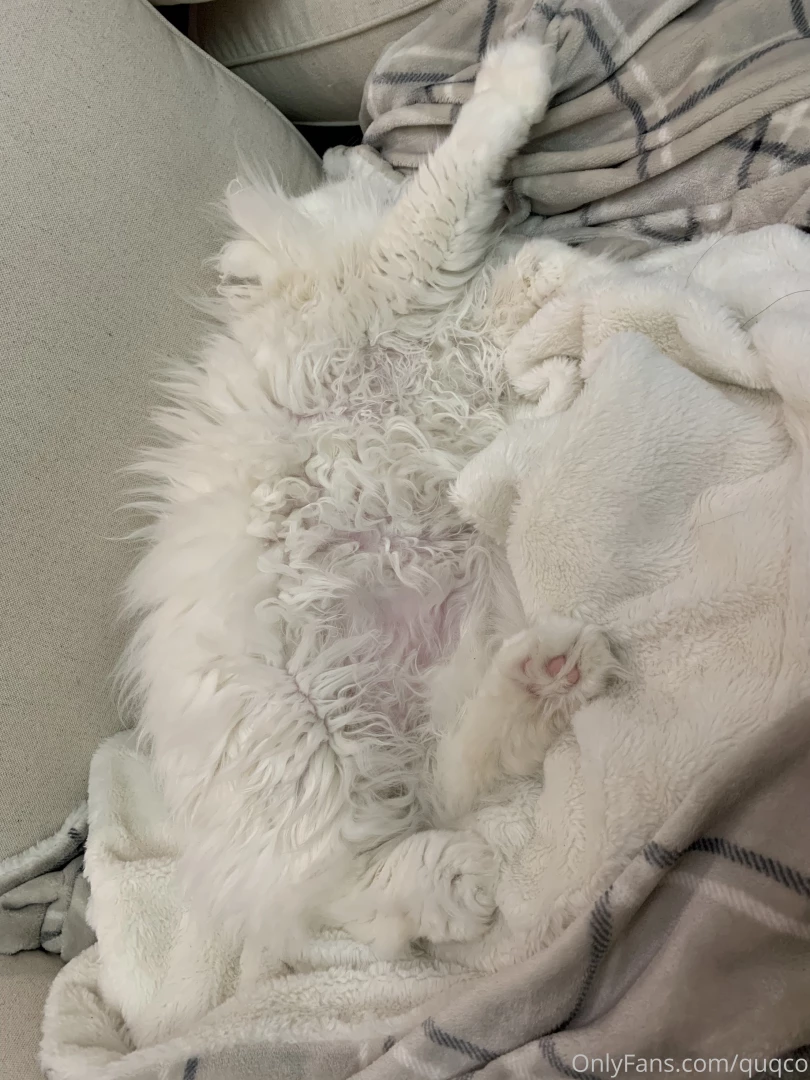 There s just a lot floof 