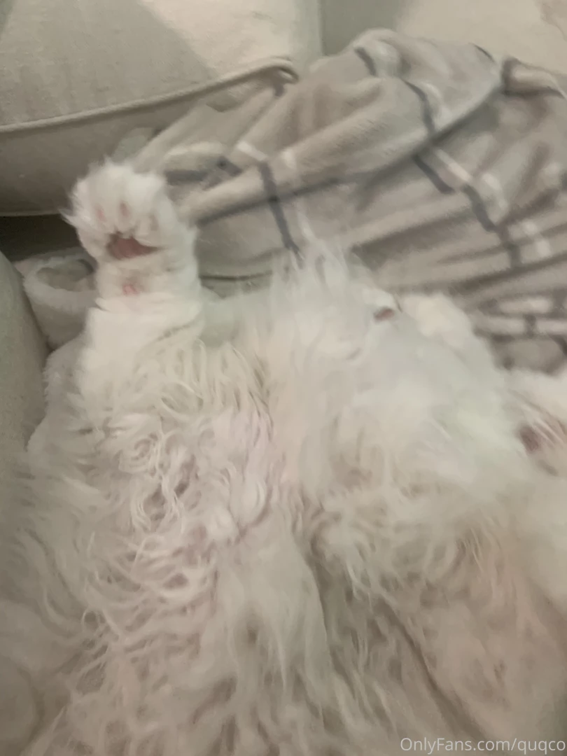 The fluff is so extreme you can t see all the beans is that ok part 1 