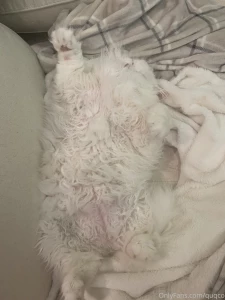 The fluff is so extreme you can t see all the beans is that ok part 2