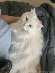 Morning chin scratches that s the spot part 3