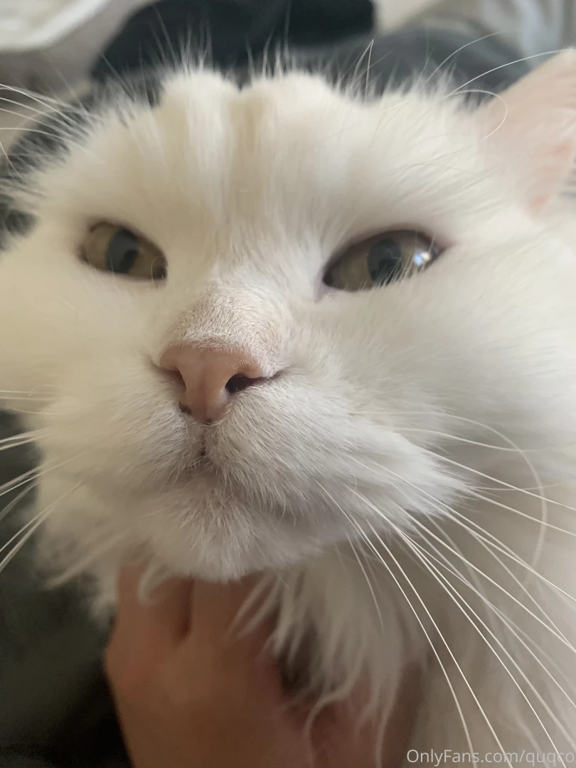 Morning chin scratches that s the spot 