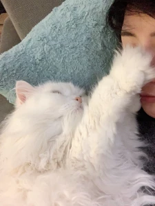 Mochi in a box paws and cuddles part 1