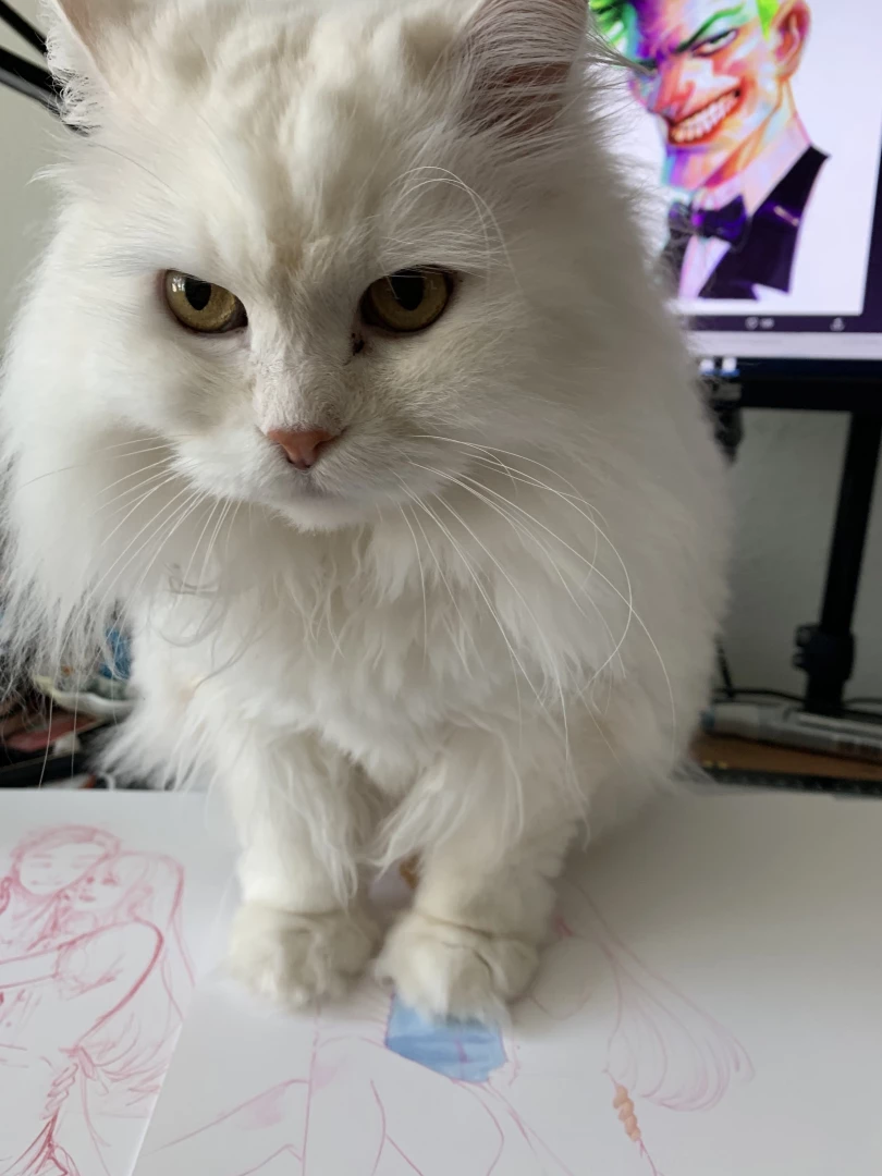 Art cat btw part 1 