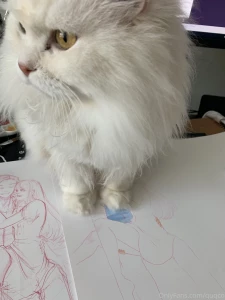 Art cat btw