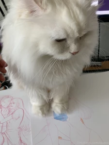 Art cat btw part 3