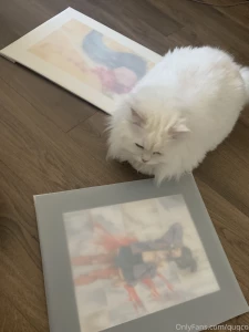 Art cat btw part 2