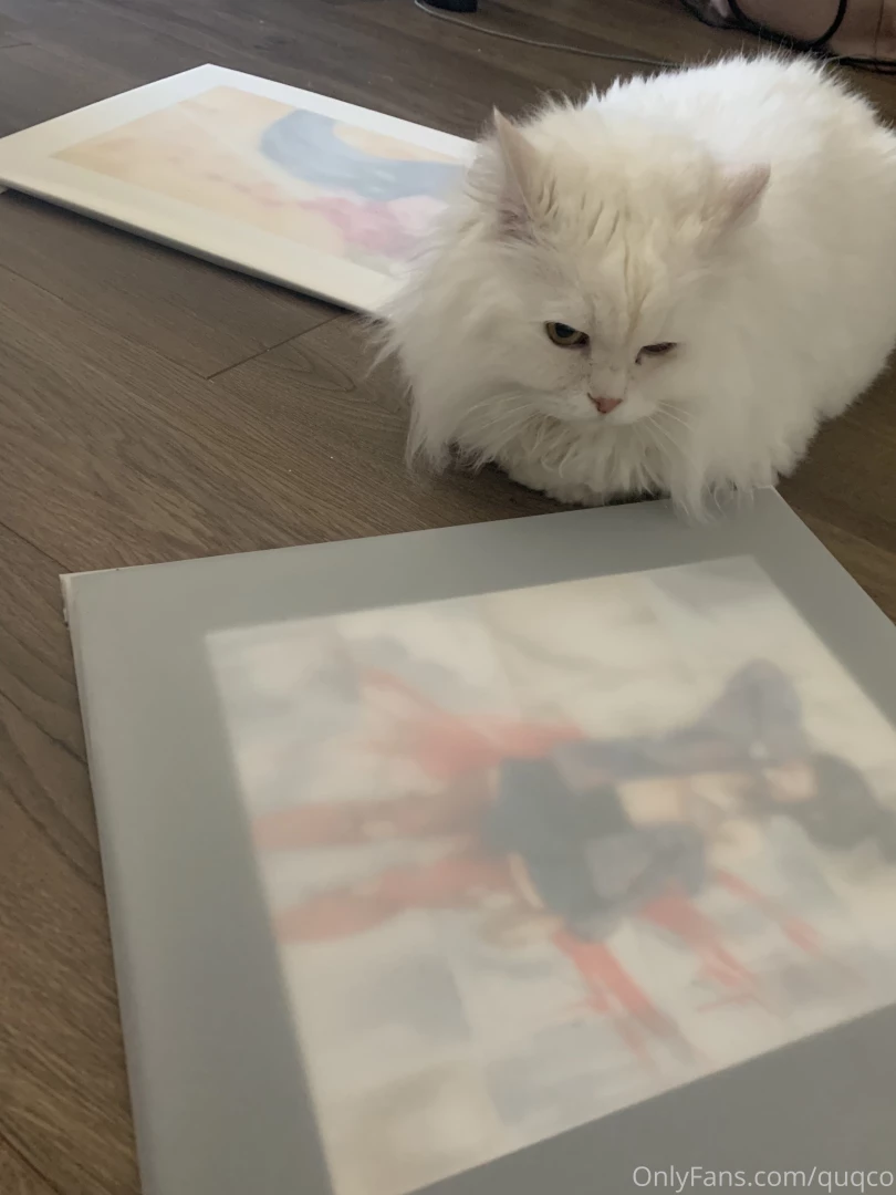Art cat btw part 4 