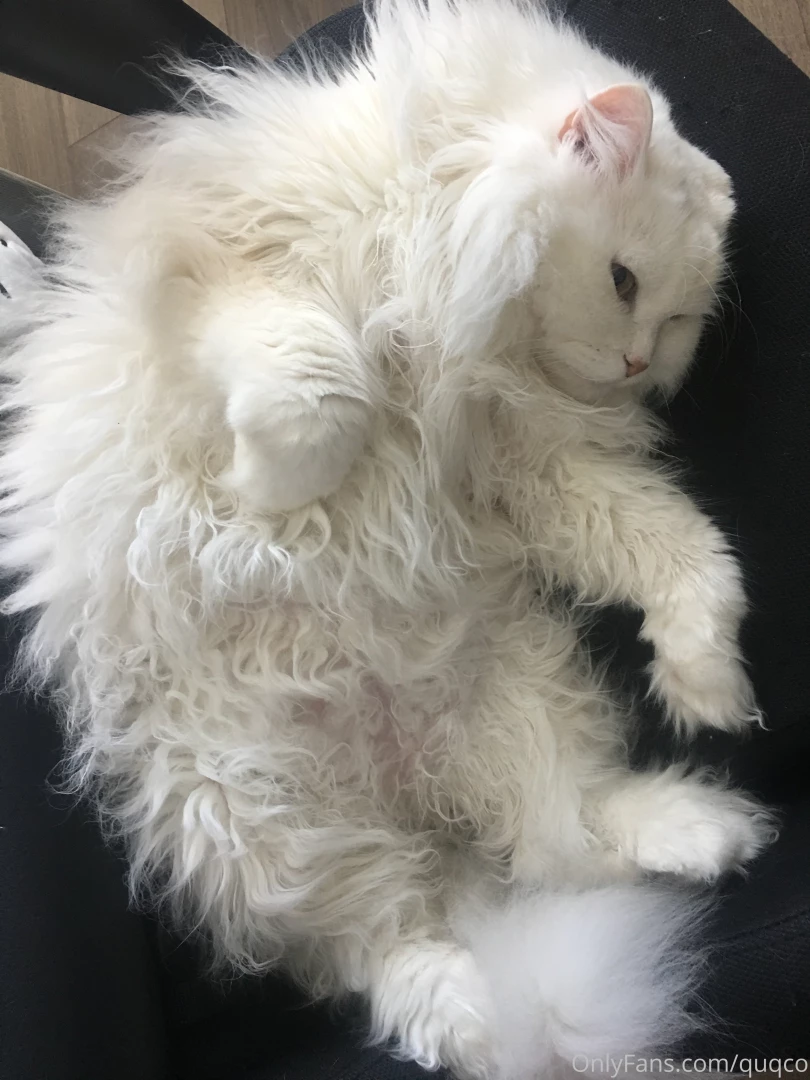 I have so many pictures to share part 2 