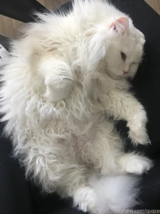 I have so many pictures to share part 2