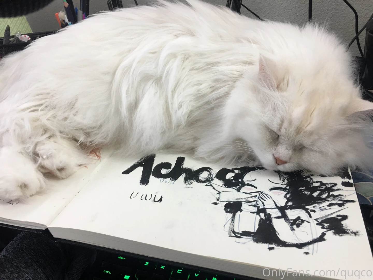 I have so many pictures to share part 1 