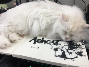 I have so many pictures to share part 1