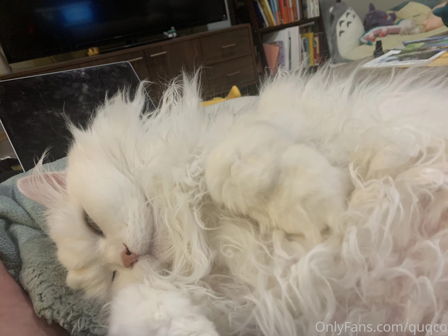 I have so many pictures to share 