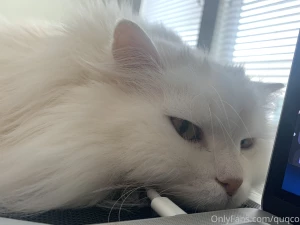 Floofy belly pictures