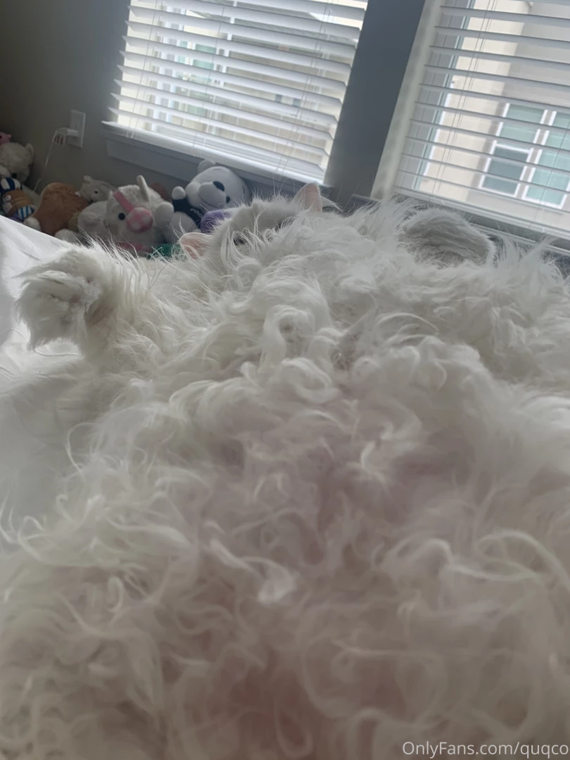 Floofy belly pictures part 1 