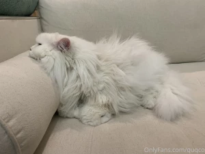 Premium chin rest part 1