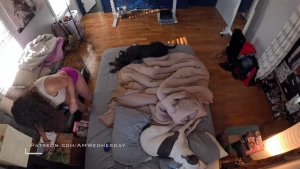 New fly video it s messy in here and there s always a never ending