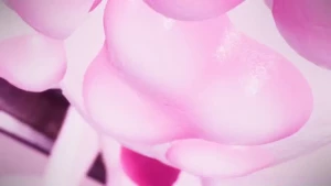 Stay down furryporn yiff feet paws pov vrporn