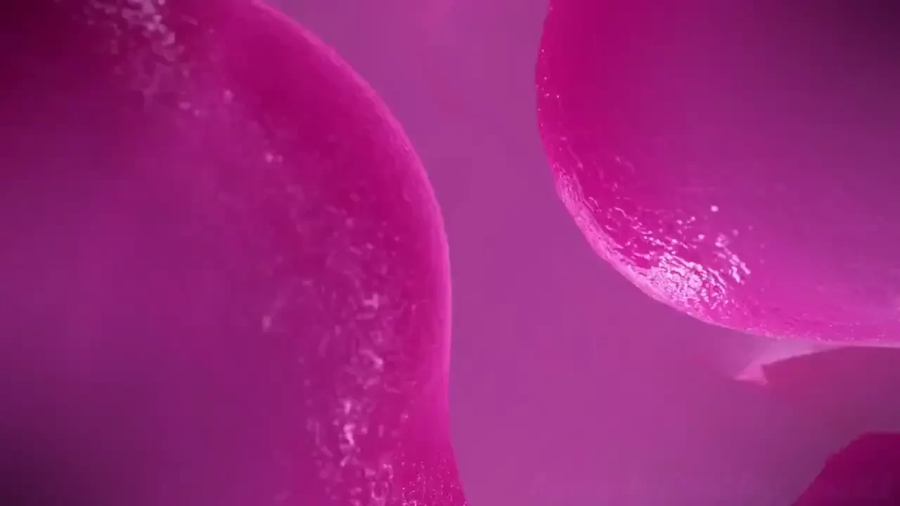 I can t believe you re actually into this you little freak full video 